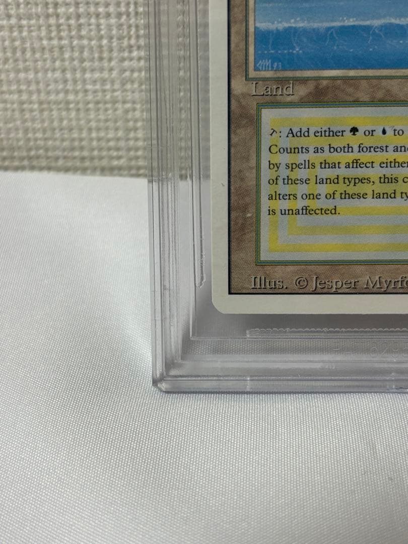 Tropical  BGS9.5 デュアルランド