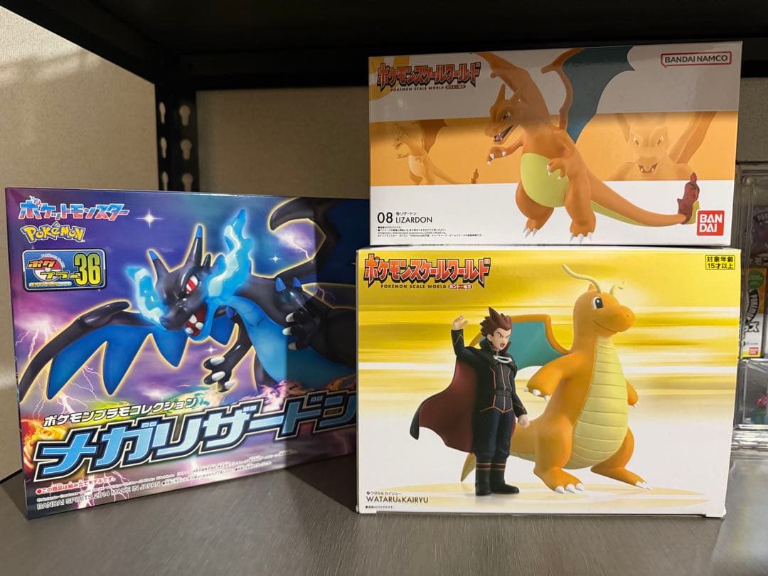 スケールワールド　リザードン　ワタル&カイリュー　ポケプラ　メガリザードン