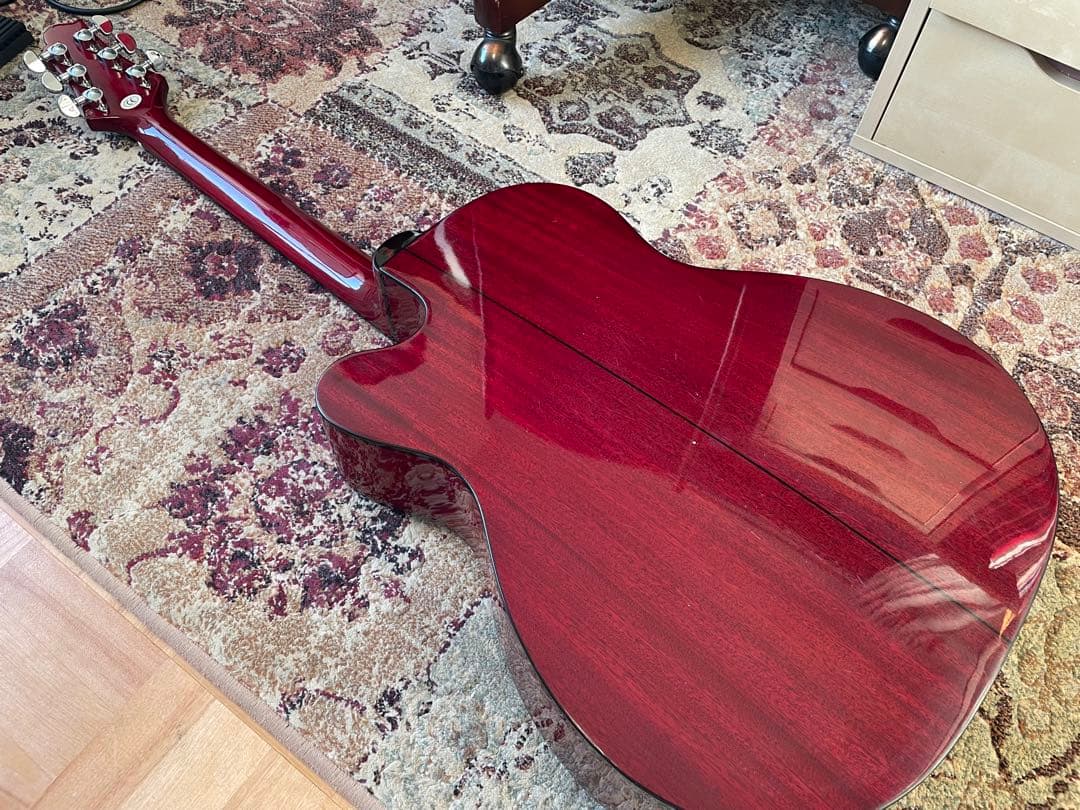 【専用ケース付き】Greg Bennett OM-13CE