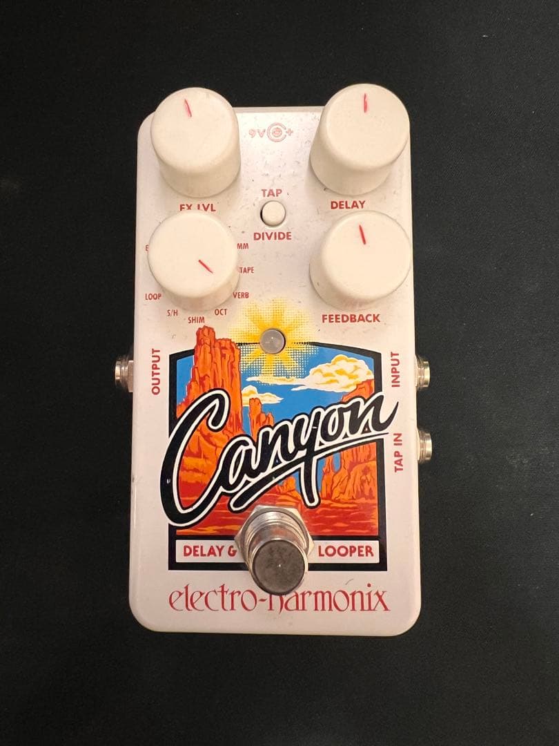 ギター electro-harmonix Canyon Delay&Looper