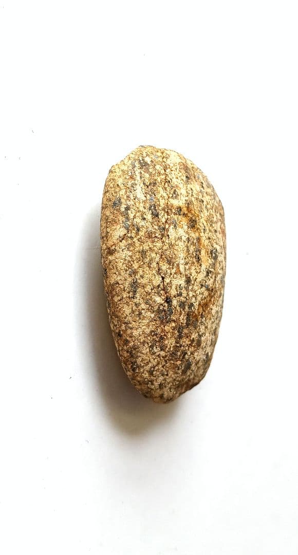 磨製石斧　完成出土品　堆積岩　磨き石