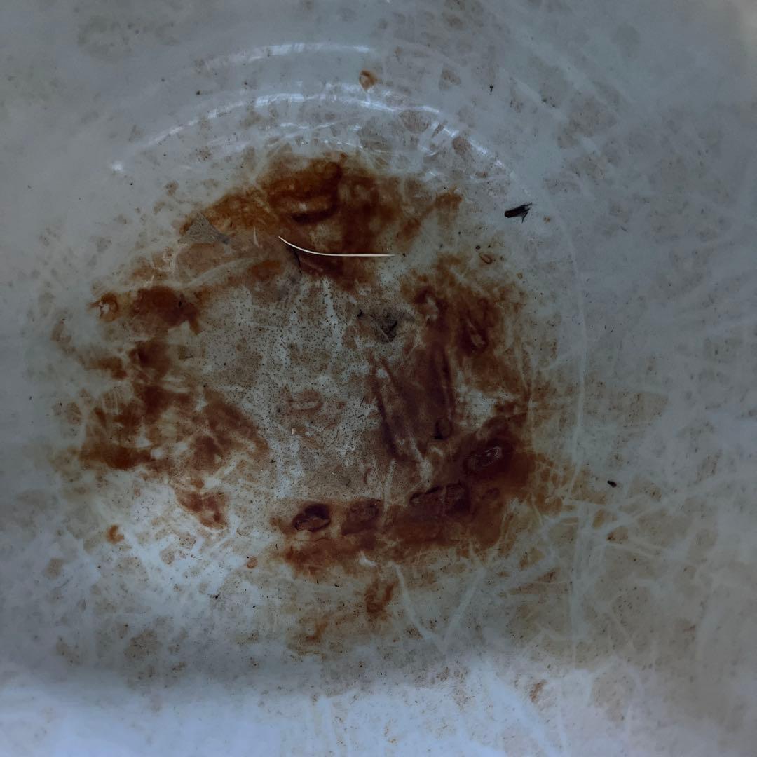 手描き陶器壺 花模様　九谷焼