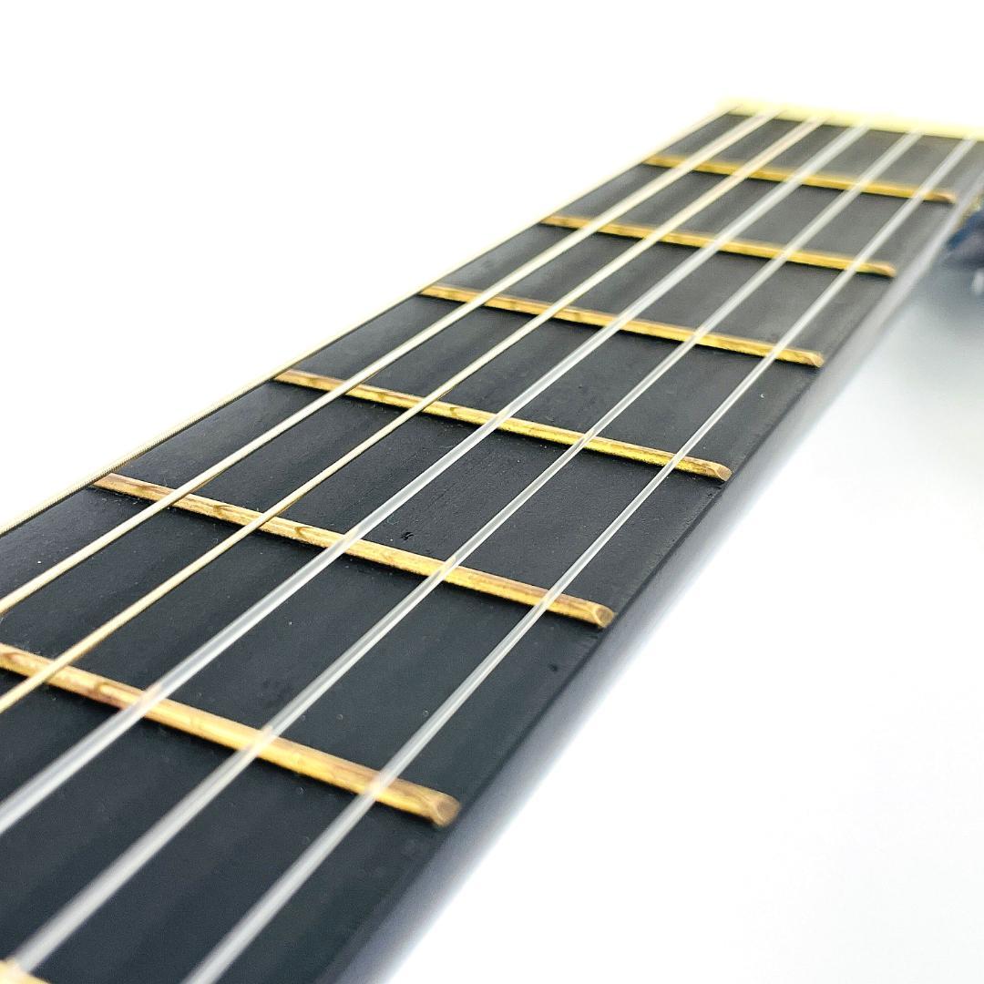 レア Freedom MAG945/BLS アコースティックギター【整備品】