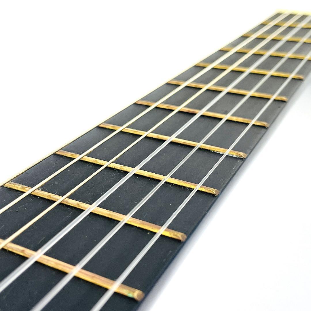 レア Freedom MAG945/BLS アコースティックギター【整備品】