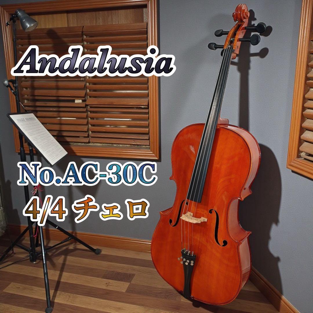 ✨美品✨ アンダルシア チェロ 4/4 No.AC-30C ケース付き 送料無料