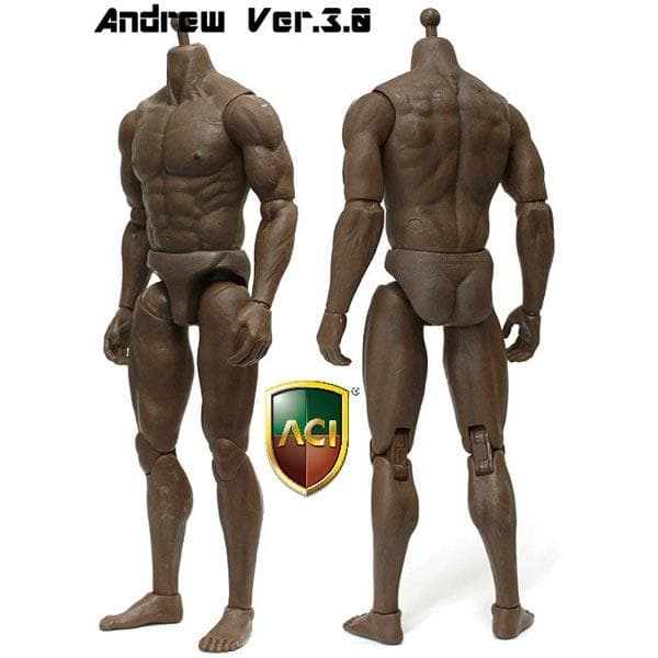その他 ACI TOYS 1/6 BODY SERIES ANDREW