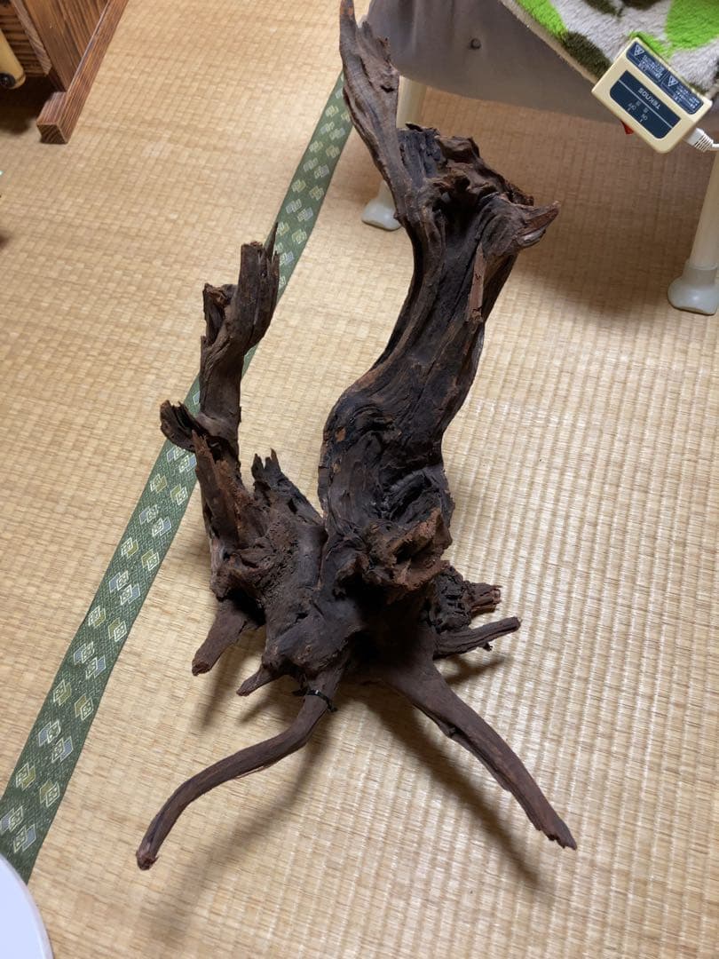 ホーンウッド　ada アクアリウム　流木　水草レイアウト　水槽