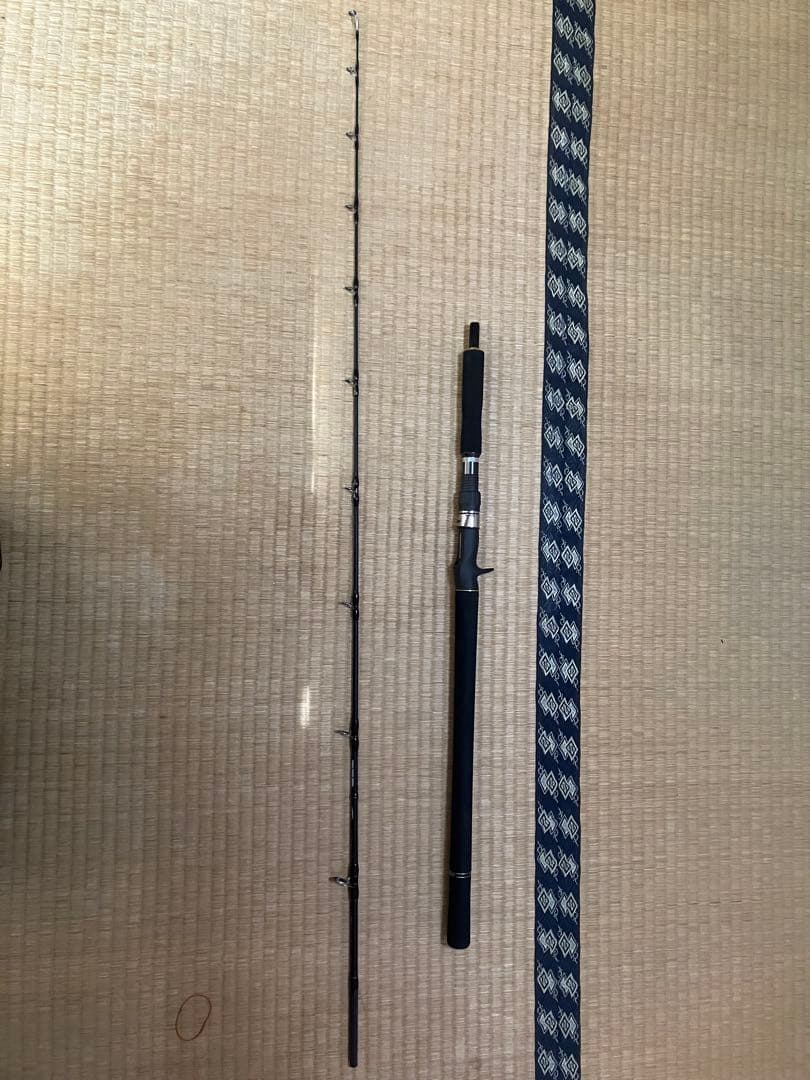 【専用】テイルウォーク　ジグフォースSSD C602