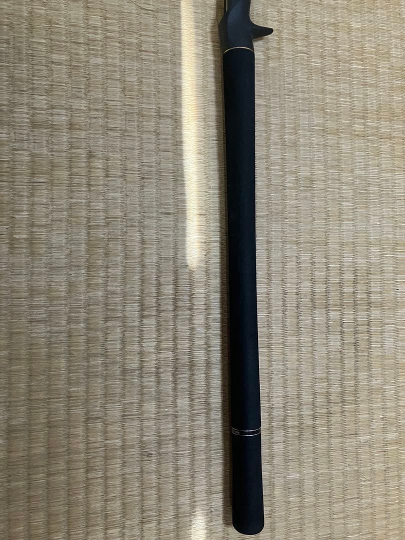 【専用】テイルウォーク　ジグフォースSSD C602