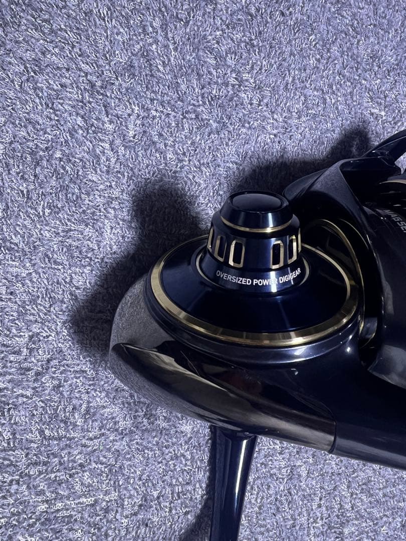 ダイワ ソルティガ 25000Pの出品です。