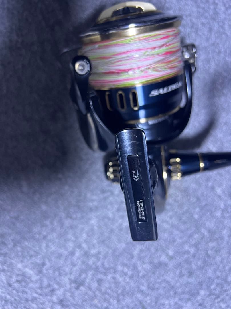 ダイワ ソルティガ 25000Pの出品です。