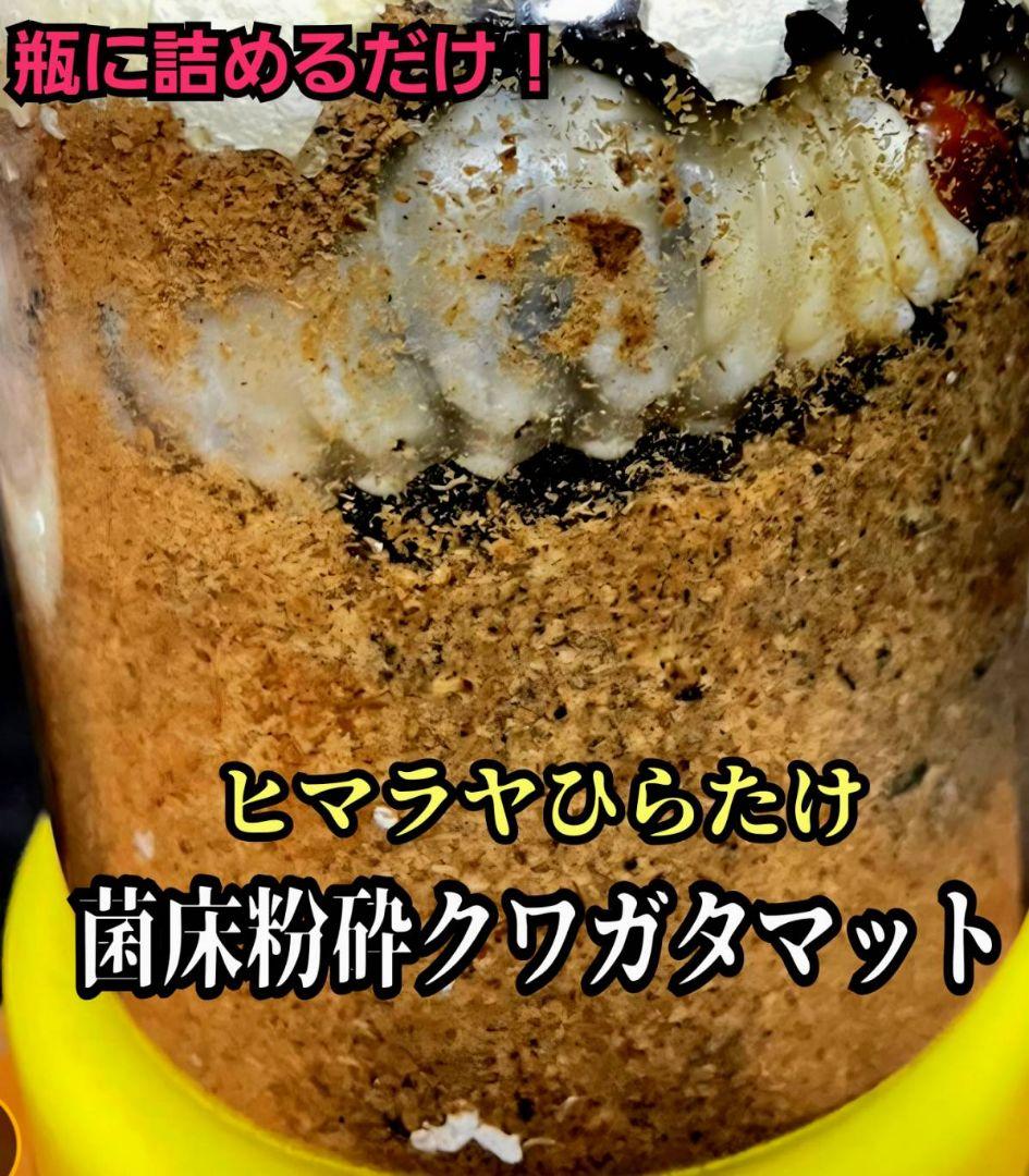 菌床粉砕クワガタマット【30L】ボトルやカップに詰めるだけ！菌糸瓶より経済的！