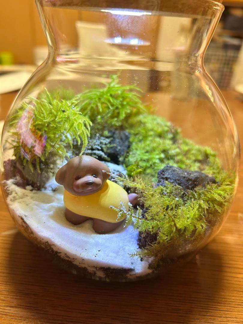 valuableさん　専用