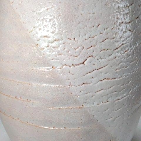 壺 志野 藤原 一門