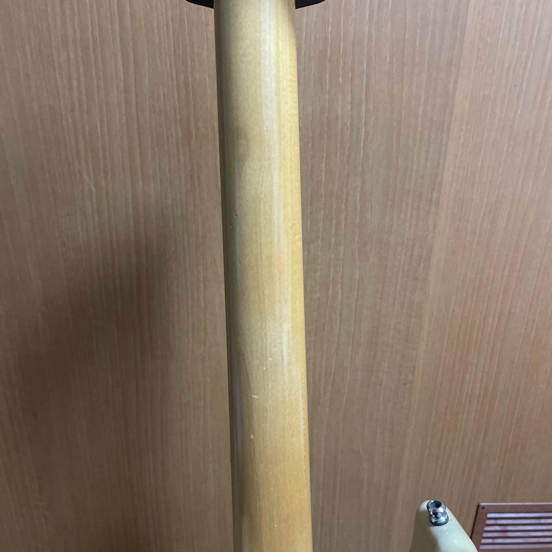 ESP スナッパー　SNAPPER AS