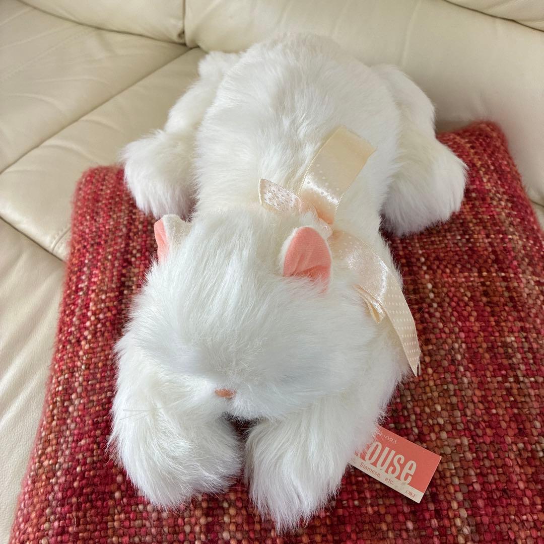 オオイケ　ペルシャネコ　ボビー　M