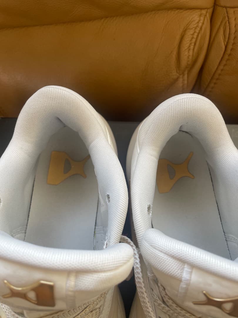 Nike A'One EP A'ja Wilson 26.５cm