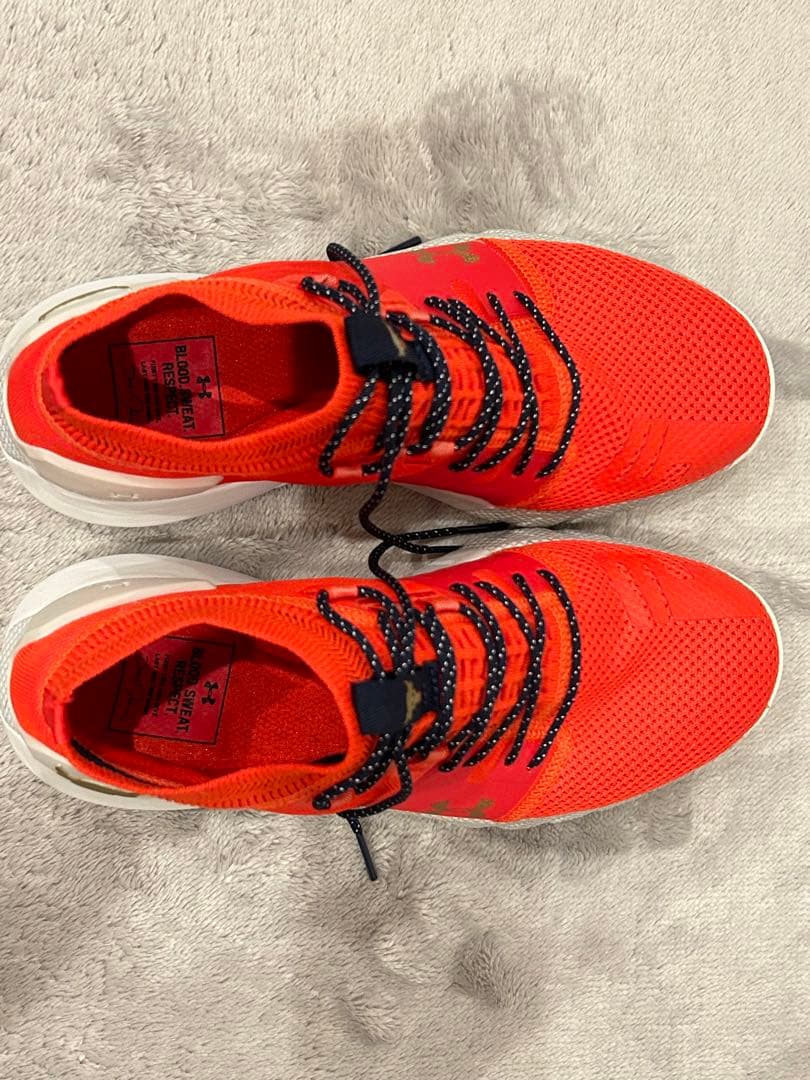 アンダーアーマープロジェクトロック2 25cm