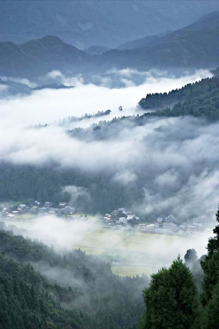 幻の希少米　魚沼産超え❤️山間地の特栽米 ７年コシヒカリ　玄米10キロ精米9kg