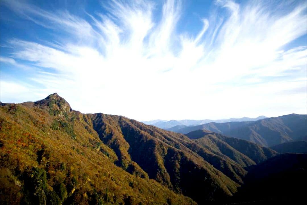 幻の希少米　魚沼産超え❤️山間地の特栽米 ７年コシヒカリ　玄米10キロ精米9kg