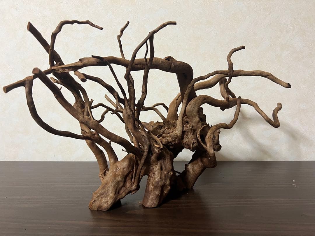 51608 ブランチウッド　流木　アクアリウム 沈水確認済