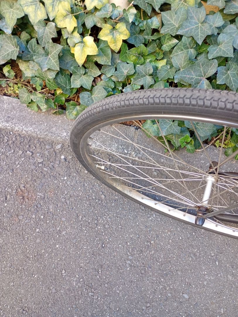 Panasonic パナソニック 電動自転車 チャイルドシート付き 子供乗せ