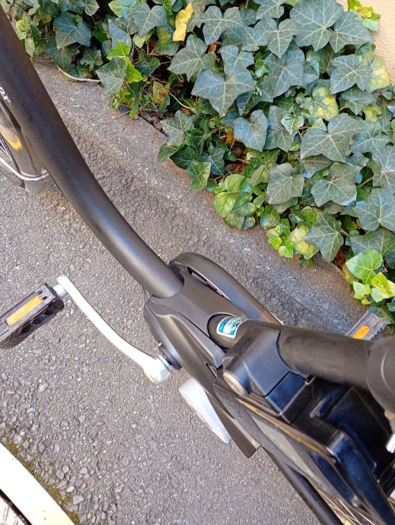 Panasonic パナソニック 電動自転車 チャイルドシート付き 子供乗せ