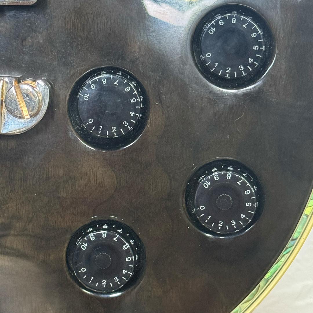 Aria Pro II PE-e 美品 新品弦 張替済