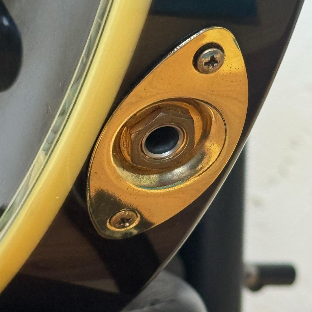 Aria Pro II PE-e 美品 新品弦 張替済