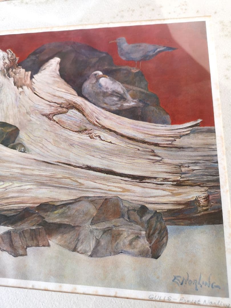 【リトグラフ】アーネスト・R・ノーリング　流木のある太平洋岸北西部の海岸のカモメ