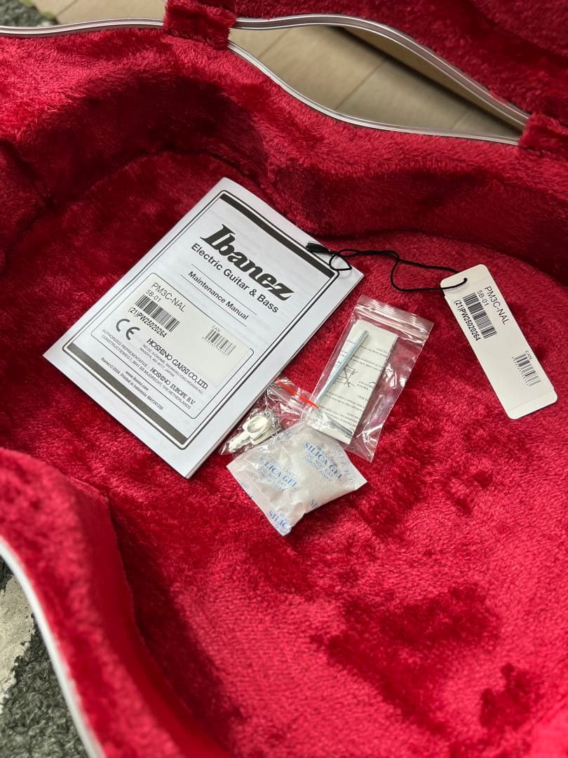 Ibanez フルアコ パット・メセニーモデル ハードケース付き