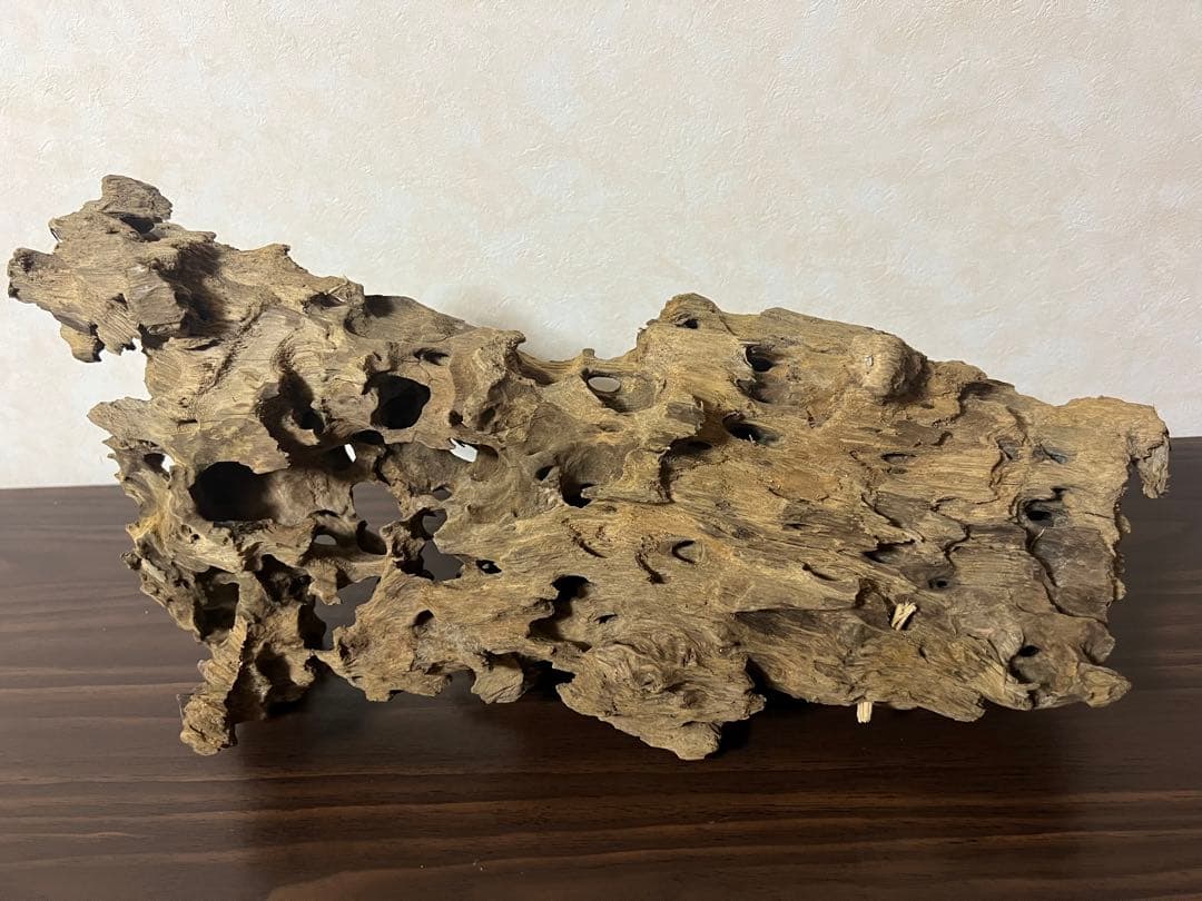 XM-453 流木　マシンガンウッド　アクアリウム　ブランチウッド　沈水確認済