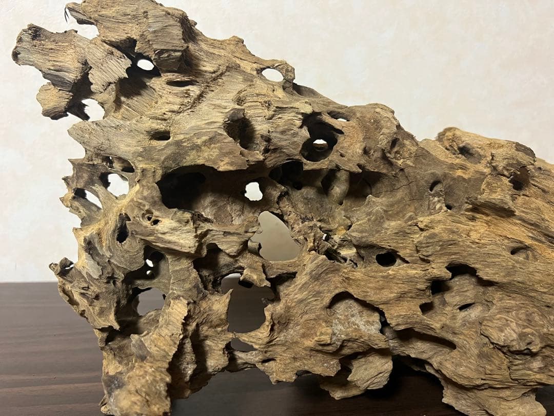 XM-453 流木　マシンガンウッド　アクアリウム　ブランチウッド　沈水確認済