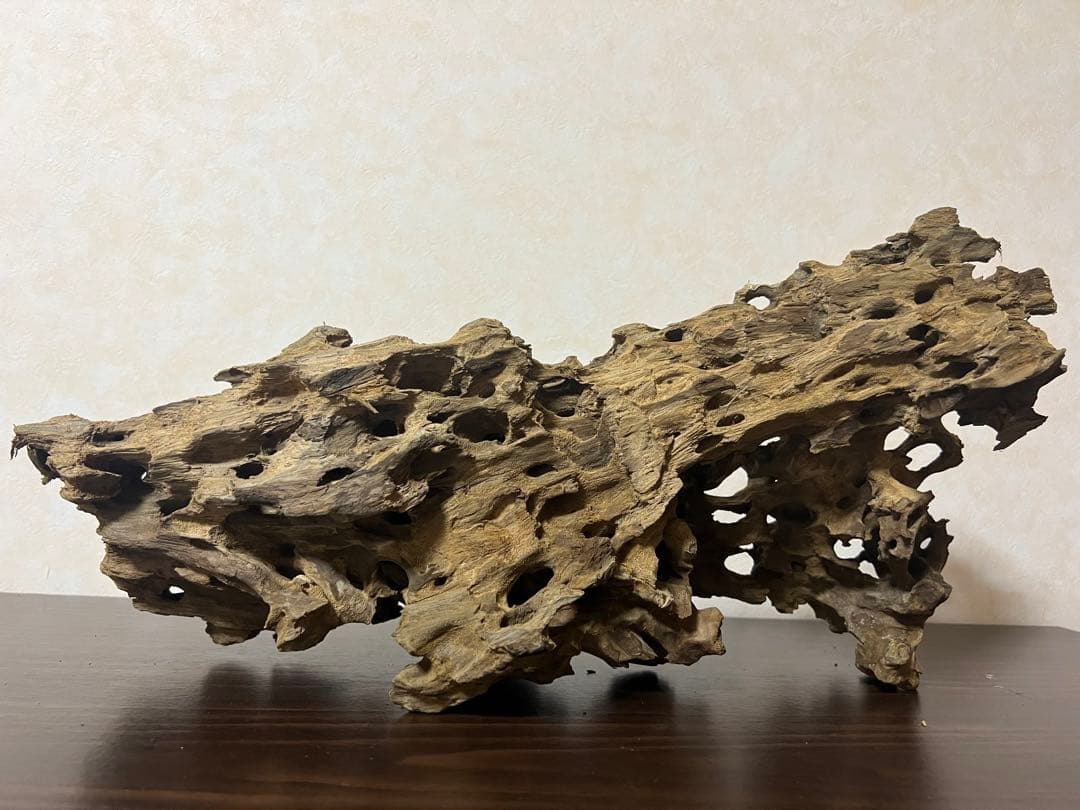 XM-453 流木　マシンガンウッド　アクアリウム　ブランチウッド　沈水確認済