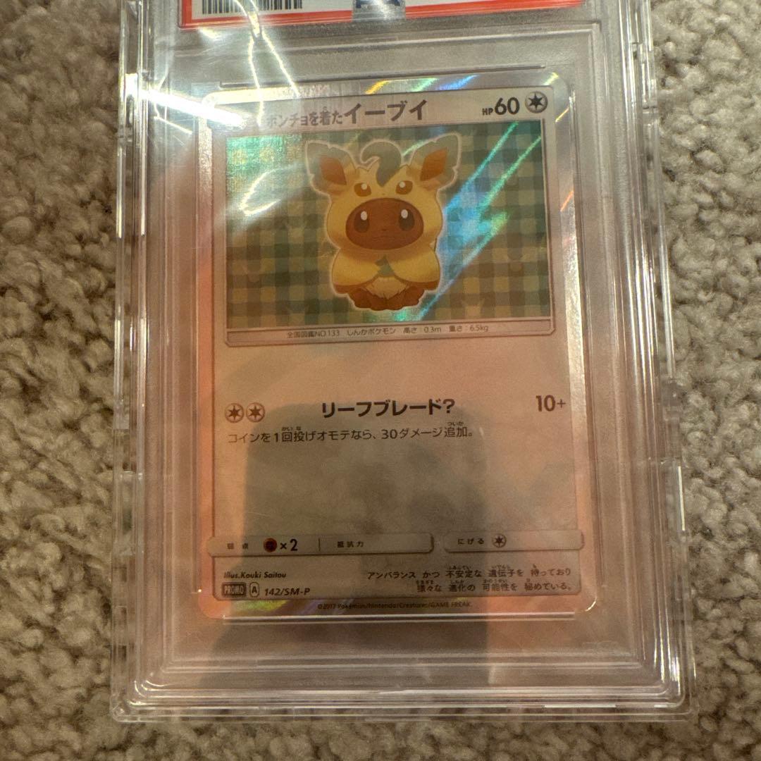 ポンチョを着たイーブイ PSA10