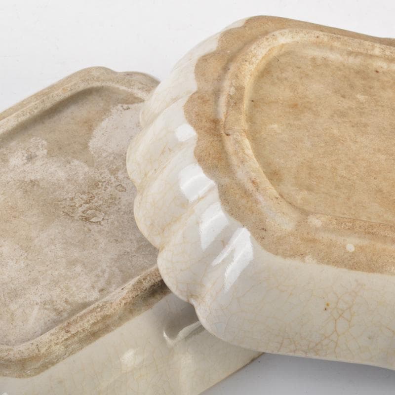 瀬戸焼　古瀬戸　鉄絵　花文　小皿　銘々皿　十一客　C　6607A