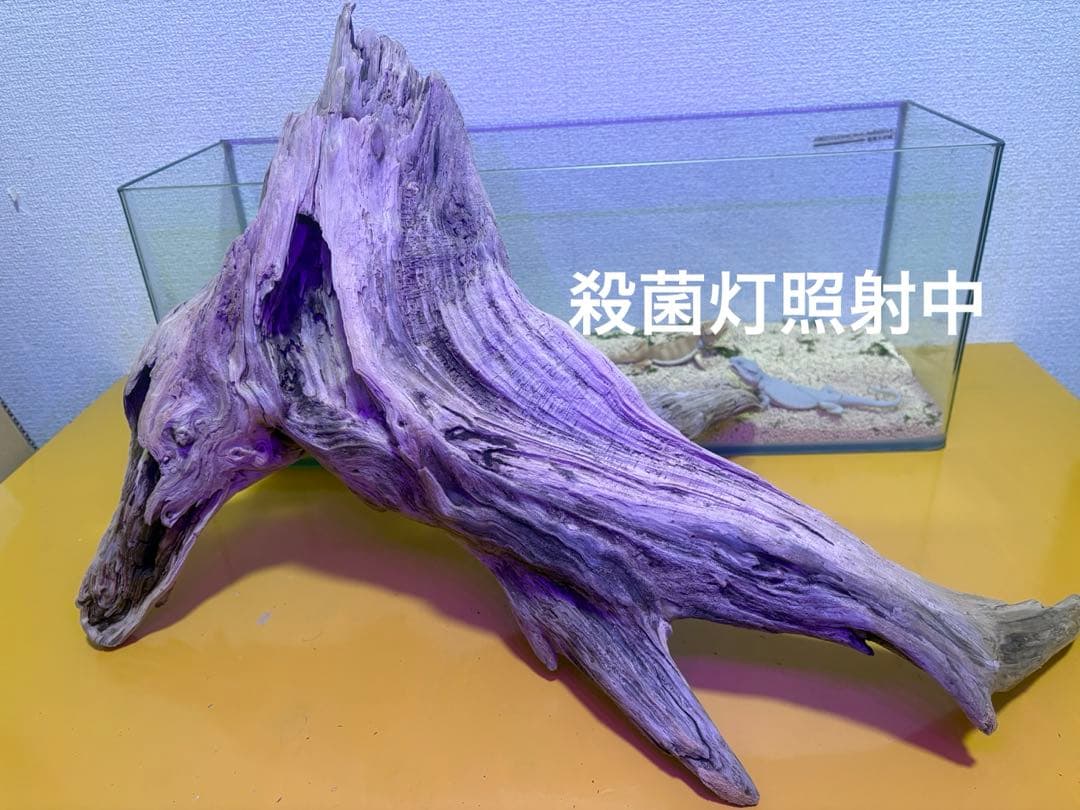 Ｇ87 流木　爬虫類　両生類　シェルター　観葉植物　インテリア　DIY