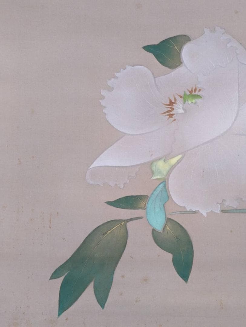 【真作】掛軸　高橋周桑　白牡丹　静寂の美　花鳥画　名品　二重箱入　R148