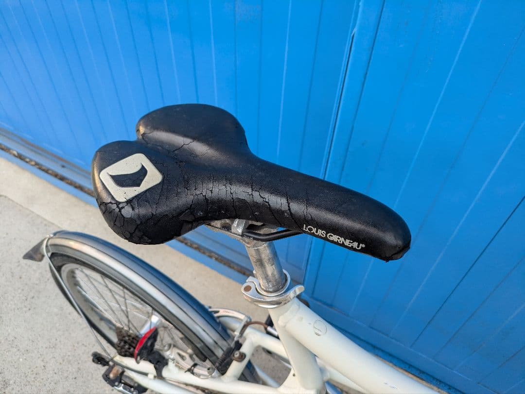 momo 　ルイガノ　LOUIS GARNEAU MV1 ミニベロ