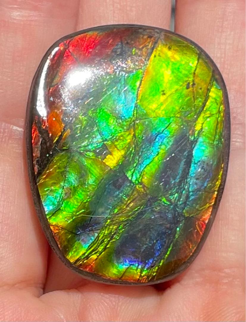 【期間限定セール】アンモライト レインボーカラー ルースストーン