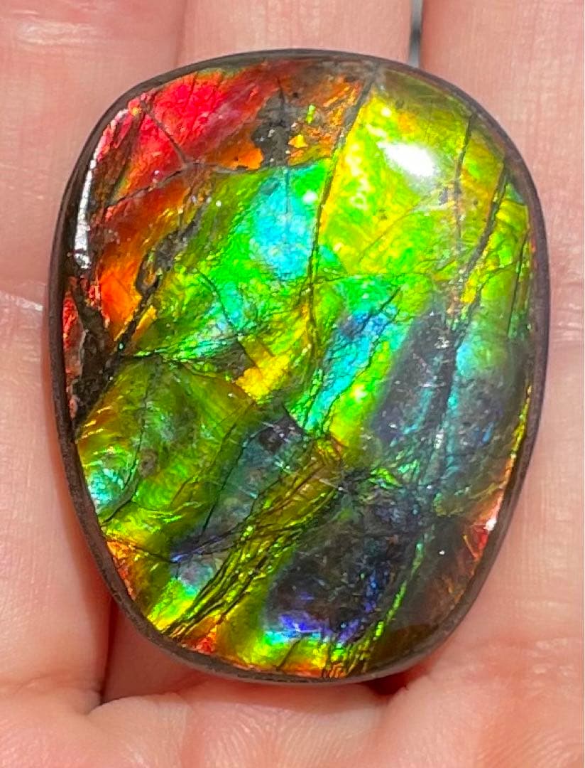 【期間限定セール】アンモライト レインボーカラー ルースストーン