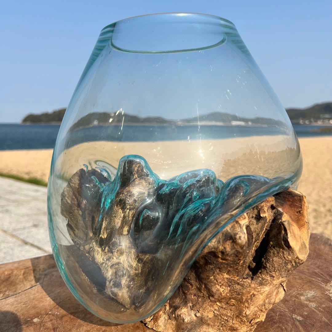 流木ガラス オブジェ特大D 花瓶 金魚鉢 ガーデニング テラリウム 観賞魚 容器