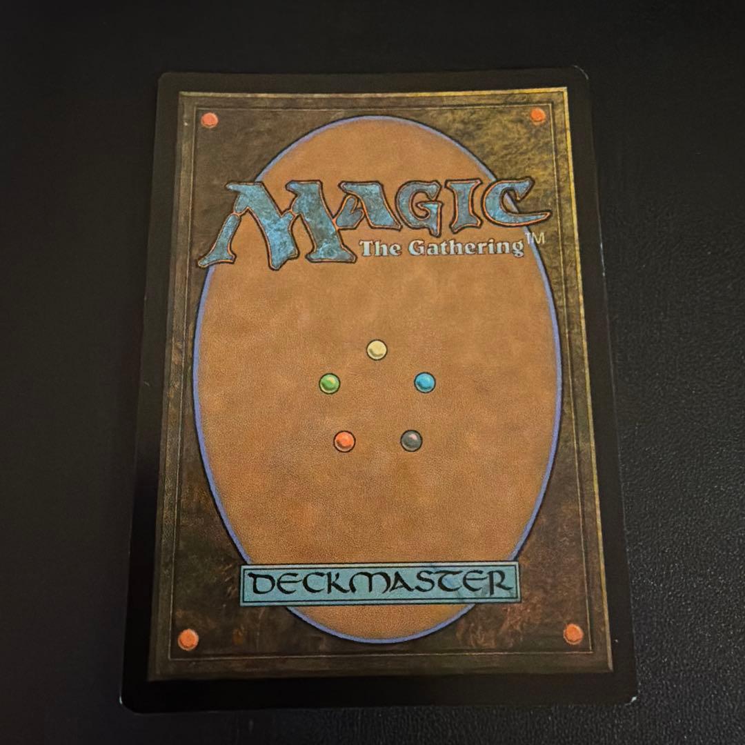 【新品未使用】一つの指輪 The One Ring②