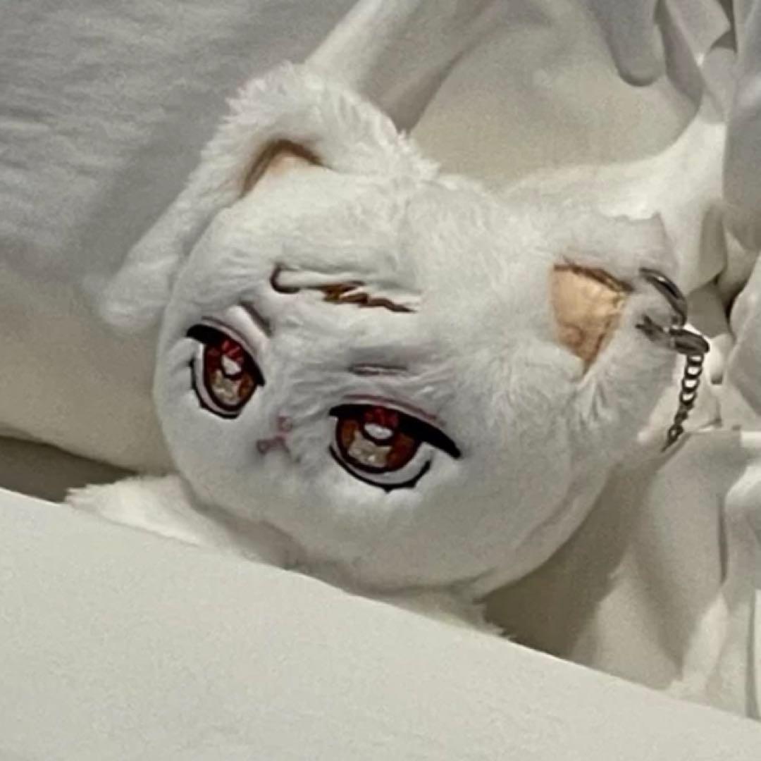 N.Flying チャフン 　10cm ぬいぐるみ　新品　マスター