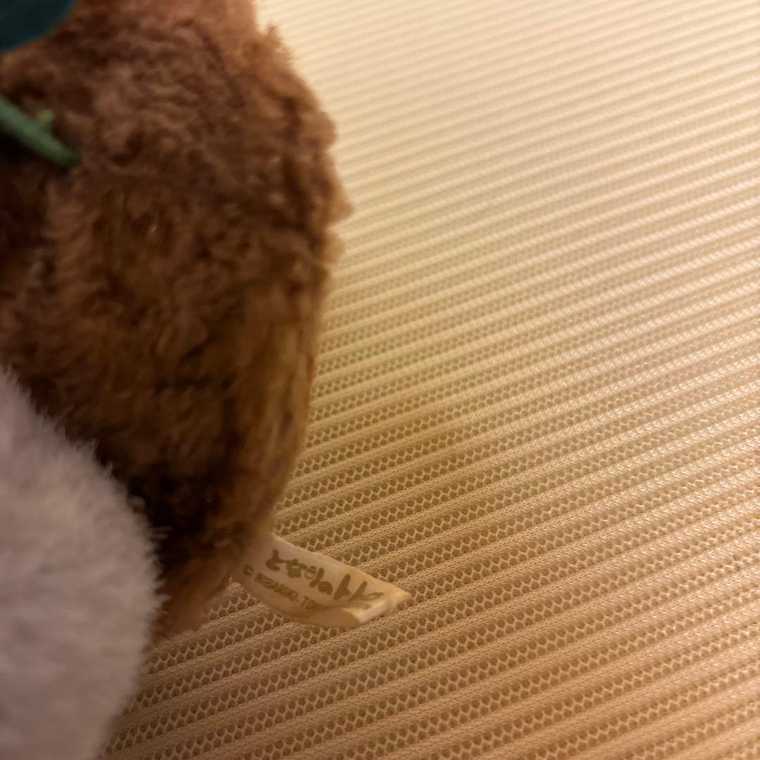 激レア✨となりのトトロ　トトロ絵日記　ぬいぐるみ