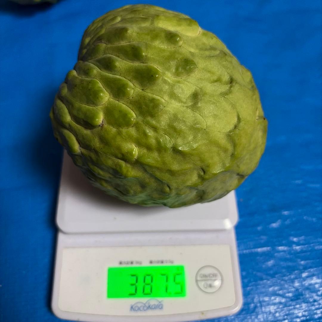 箱番号１　A級アテモヤ2199g 8136円