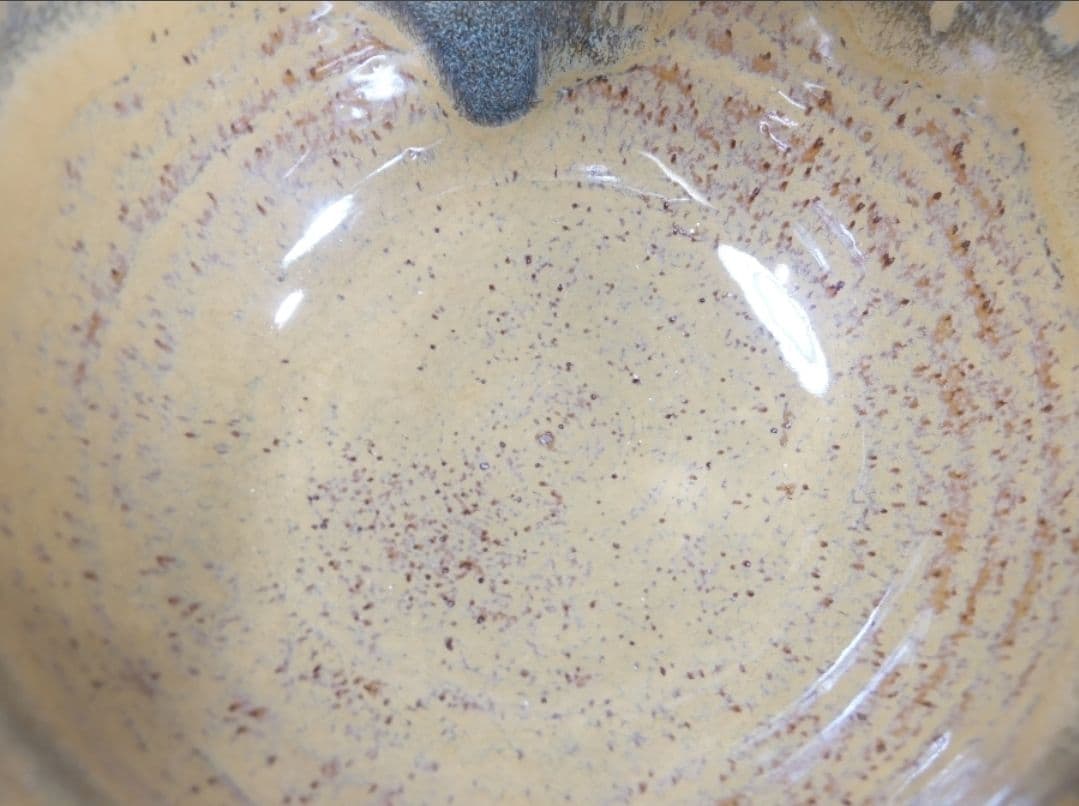 真作保証 14代 亀井味楽 自作 高取焼 コレクター放出品 茶道具 福岡県