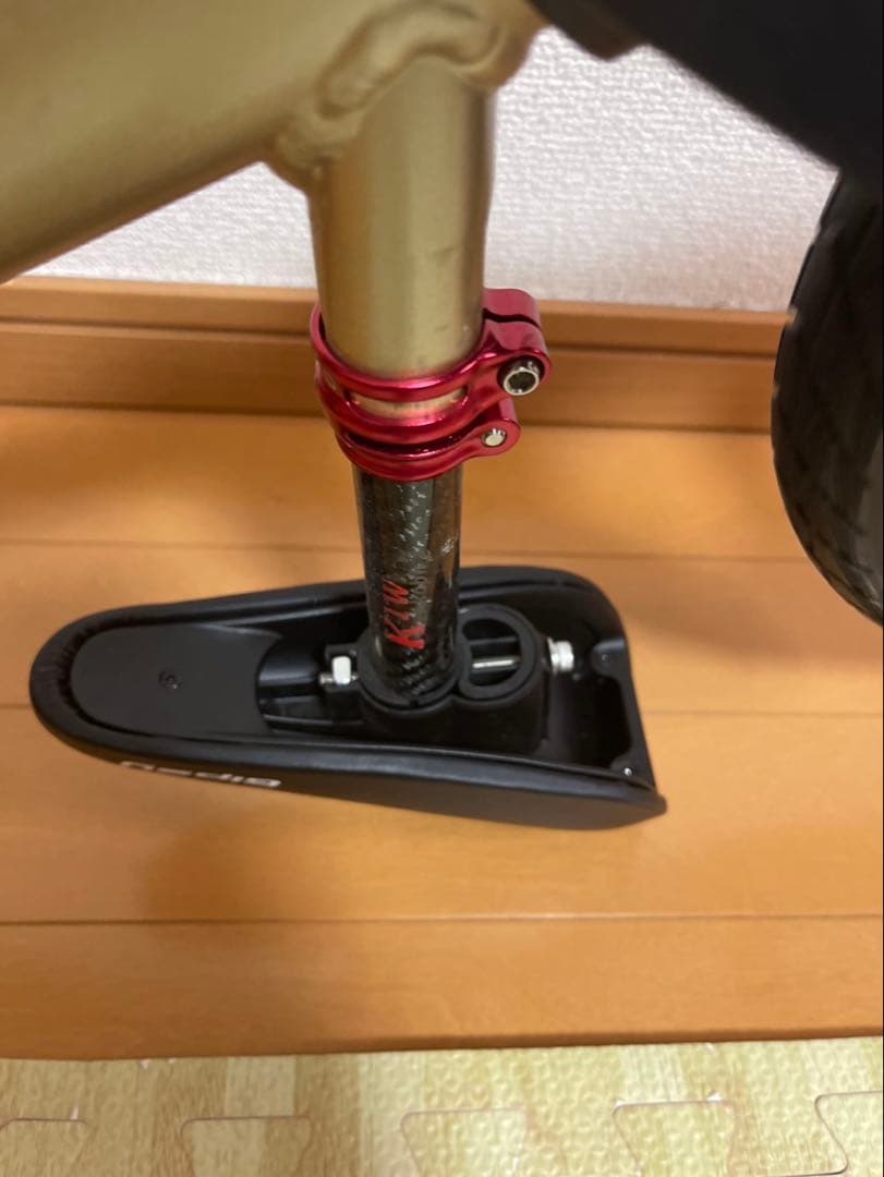 ストライダープロ ゴールド ランバイク