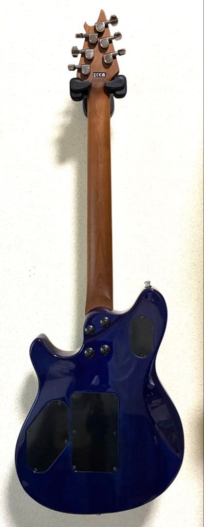 EVH Wolfgang WG Standard QM ★アップグレード