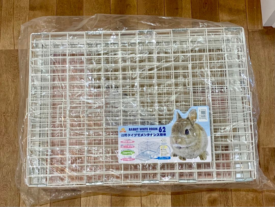 ラビットホワイトルーム62